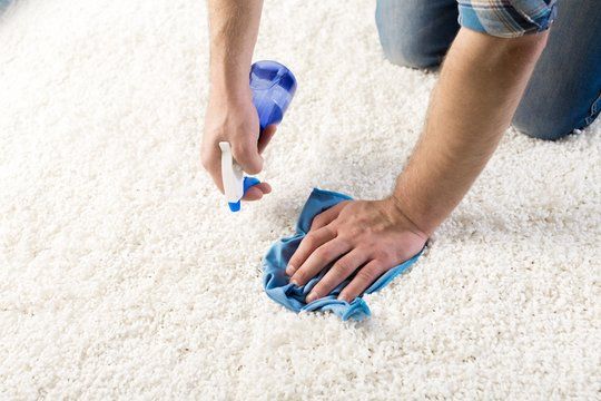 Tips & Cara Merawat Karpet Bulu, Anti Bau Apek & Rontok