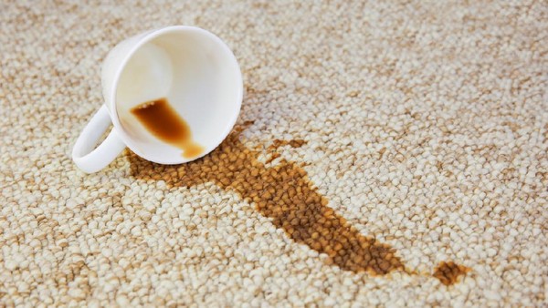 Karpet Kotor Karena Tumpahan Minuman? Begini Cara Mengatasinya
